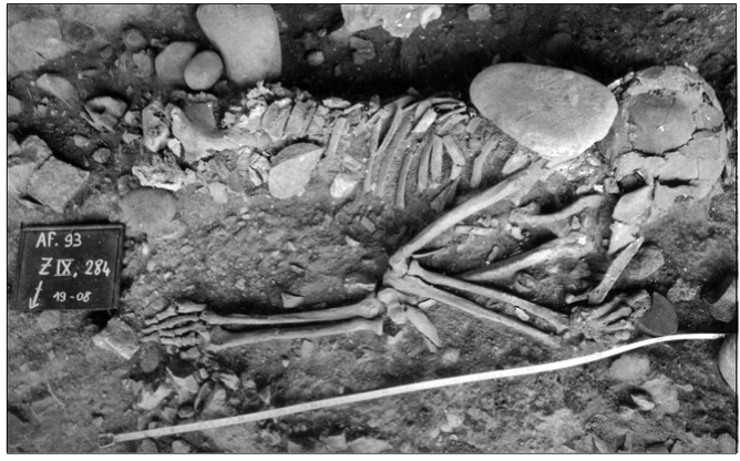 نموذج للدفن في الحضارة الإيبرومغربية-فرد مدفون مرفوق بسكين عظمي في يده. موقع أفالو بورمال