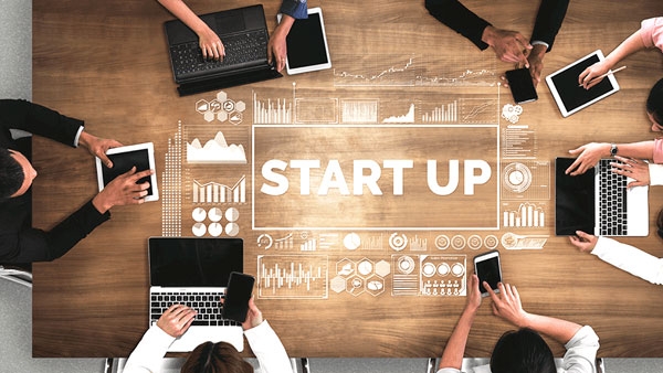 المقاولاتية 