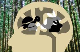 عملية التفكير
